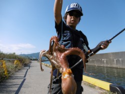 息子もオクトパッシング